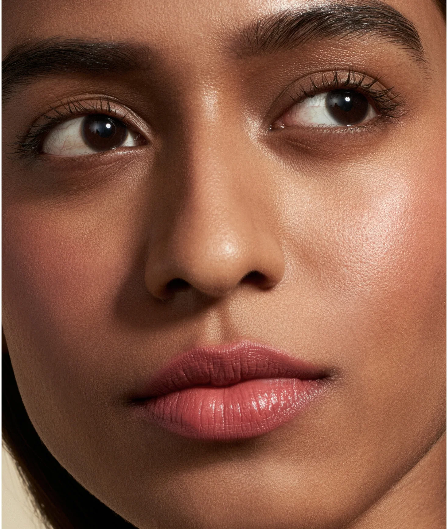 All You Need - Limited Edition - Image 3