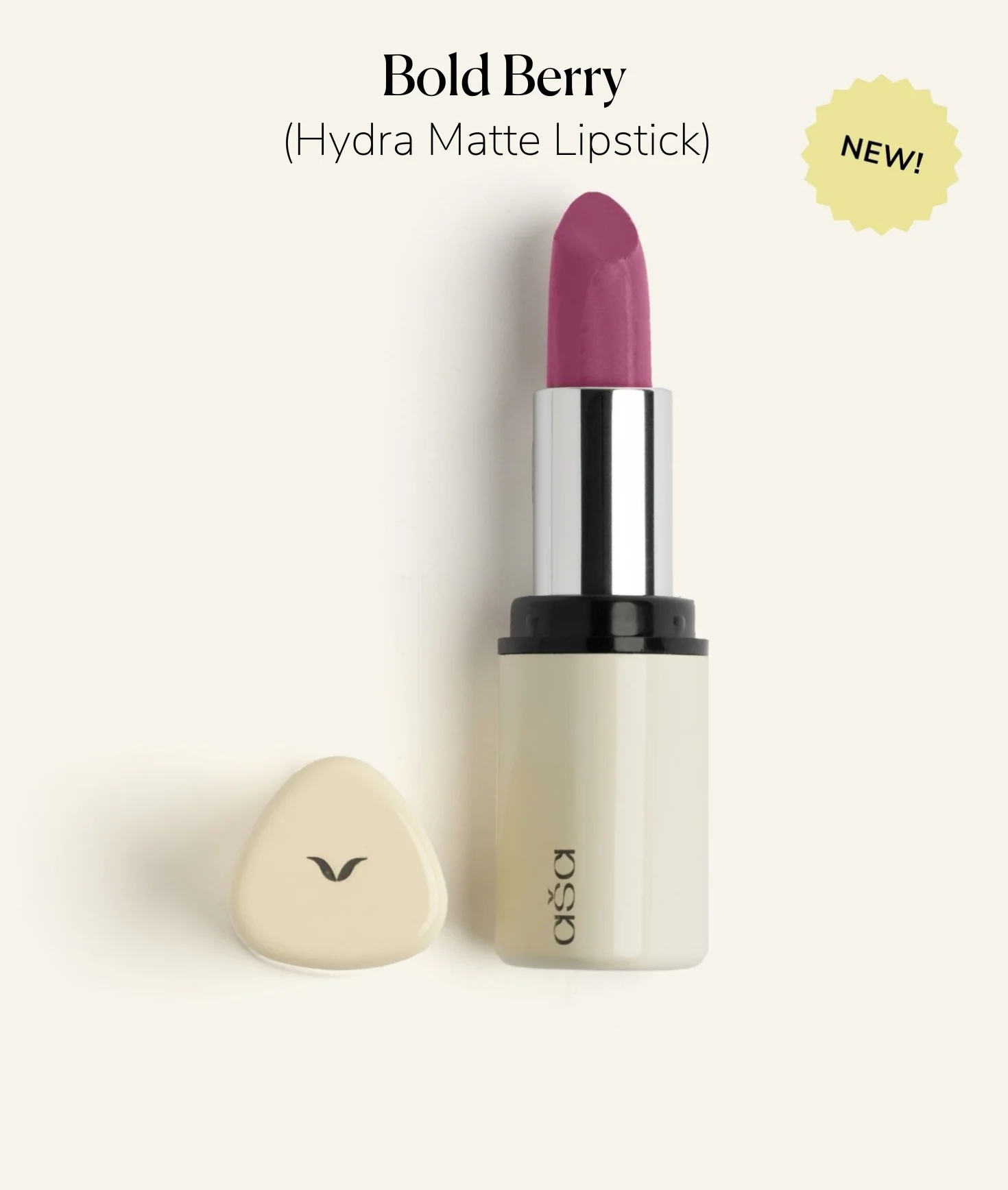 All You Need - Limited Edition - Image 4