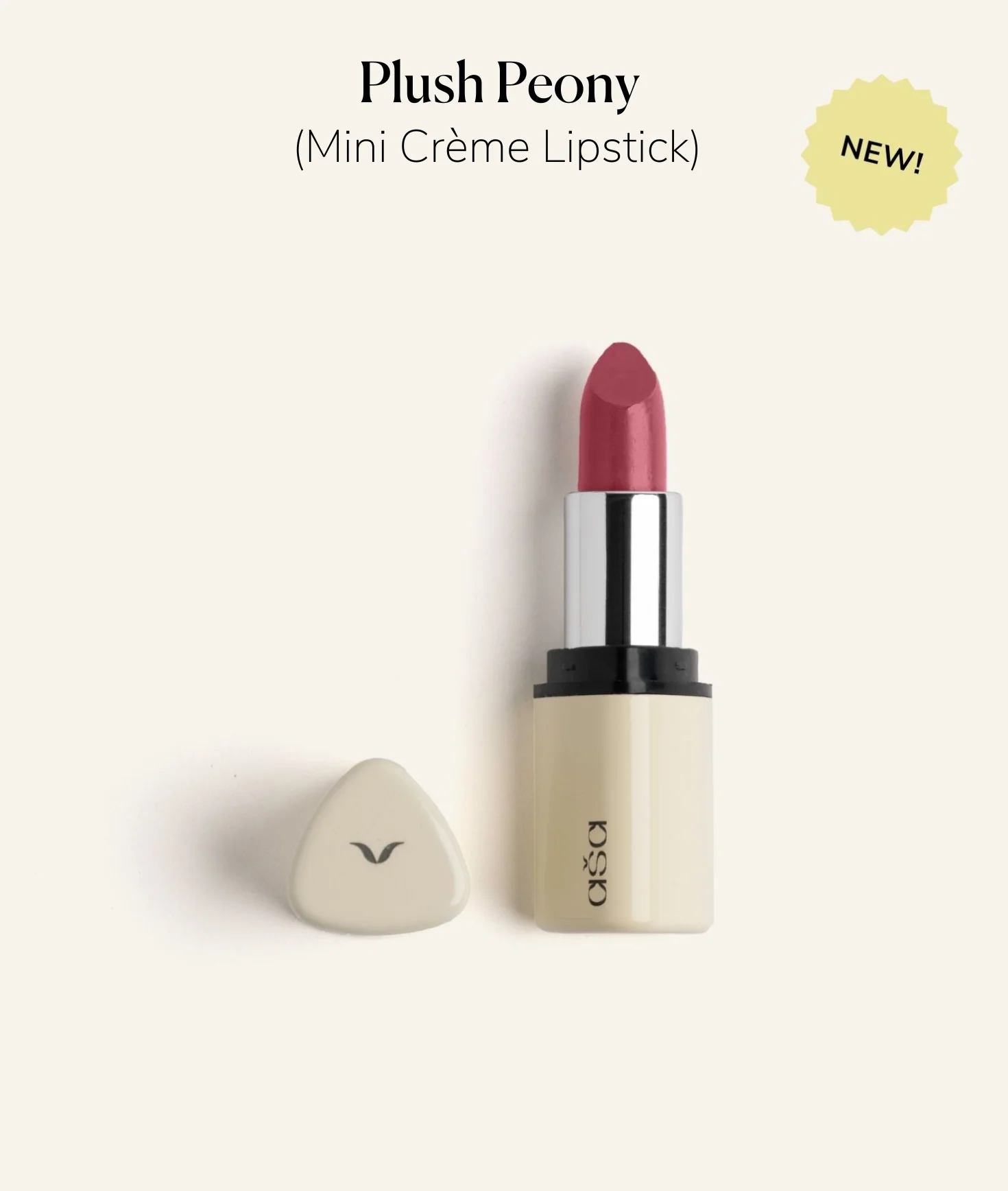 Take Me Everywhere - Image 4